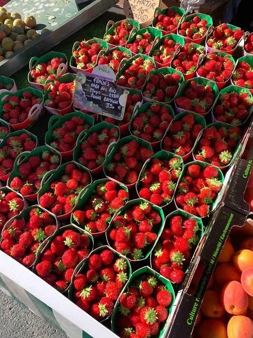 Hébergement de vacances Villa La Petite Bretonne à Plounerin